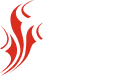 HotMebel